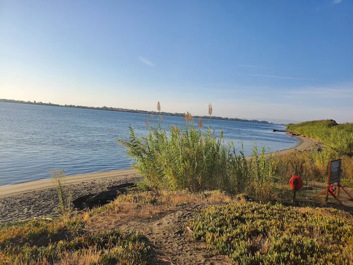 Sandy Beach County Park Picture 9