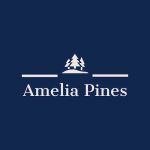 Amelia Pines MHP