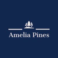Amelia Pines MHP ico