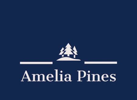 Amelia Pines MHP