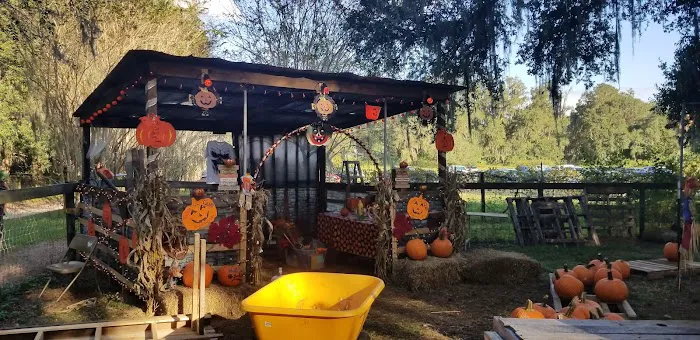 Golden Pond Village Picture 4