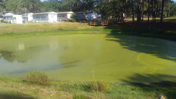 Golden Pond Village Picture 6