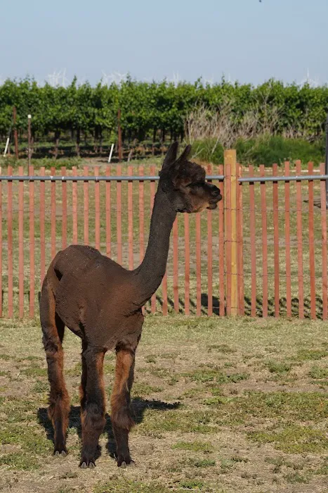 The Meadows of Isleton Picture 4