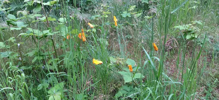 Viento State Park South Campground Picture 1