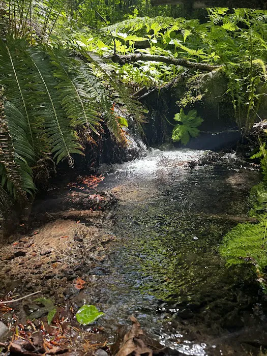 Viento State Park South Campground Picture 3
