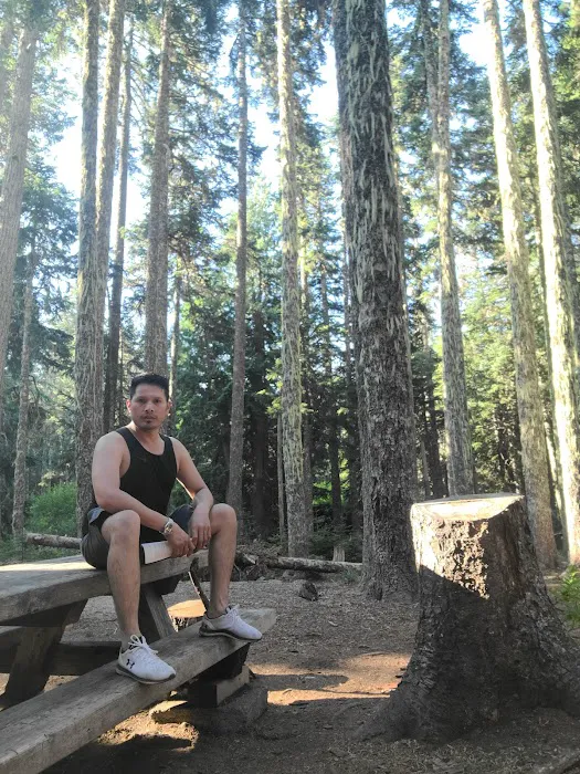 Rainy Lake Campground Picture 4