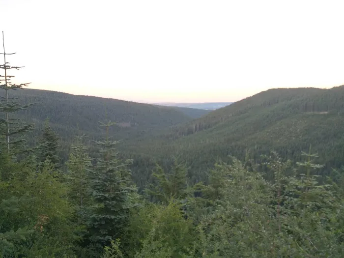 Black Lake Campground Picture 1