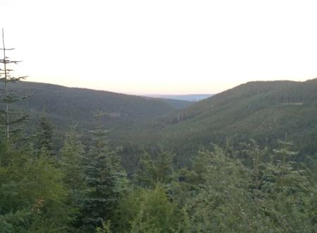 Black Lake Campground