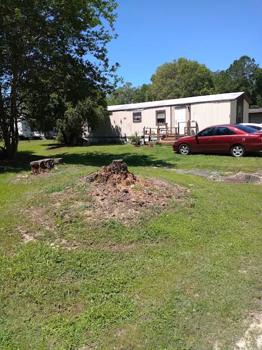 Southern Sun RV & Mobile Home Park Picture 4