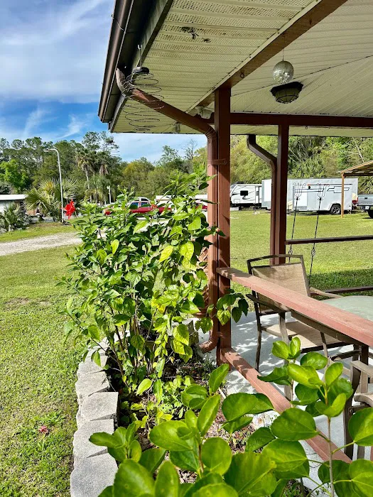 Southern Sun RV & Mobile Home Park Picture 8