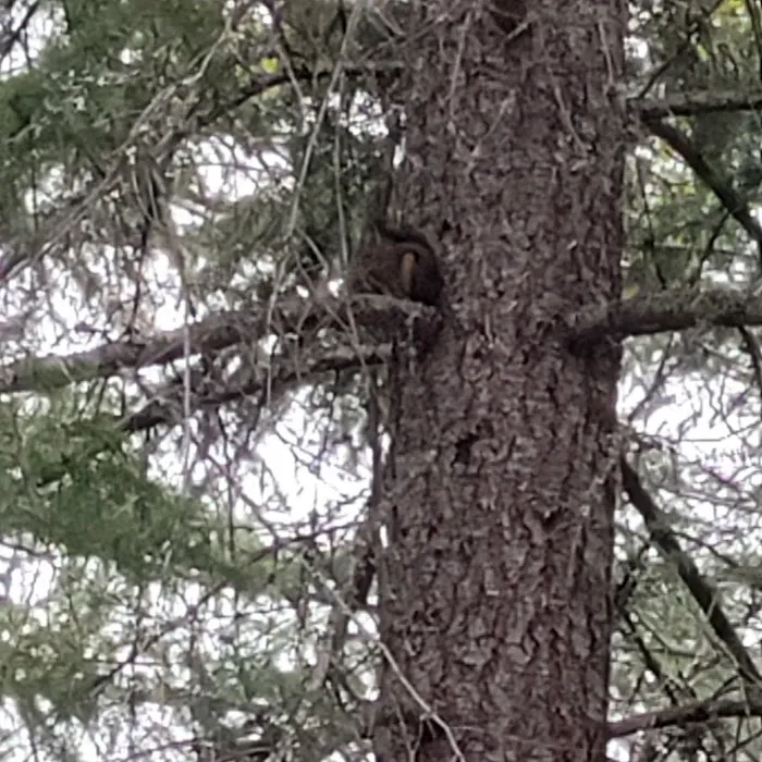 Outlet Creek Campground Picture 2