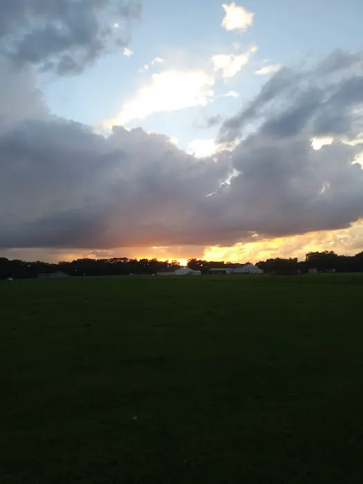 Whispering Oaks Mobile Home Pk Picture 8