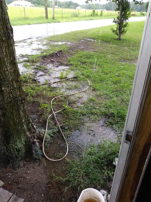 Whispering Oaks Mobile Home Pk Picture 3