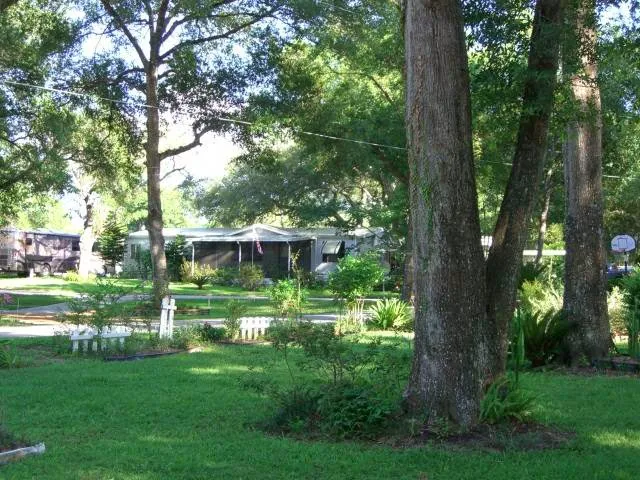 Bedrock Country Squire Picture 9