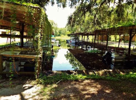 North Shell Marina And RV Park