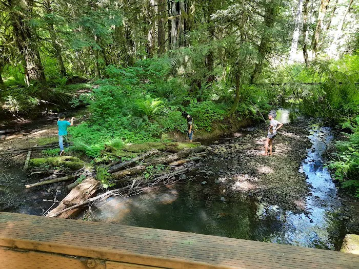 Camp Wilkerson Park Picture 2
