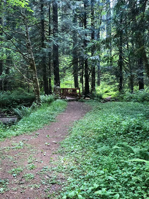 Camp Wilkerson Park Picture 5