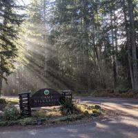 Camp Wilkerson Park ico