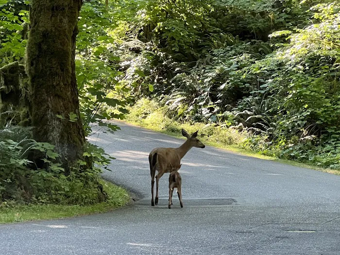 Oxbow Park Campground Entrance Picture 3