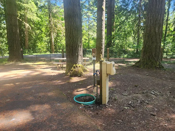 Big Eddy Park Picture 3