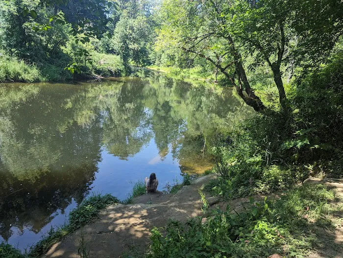 Big Eddy Park Picture 7