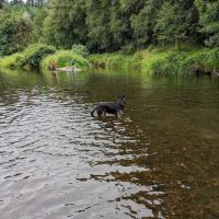 Big Eddy Park ico