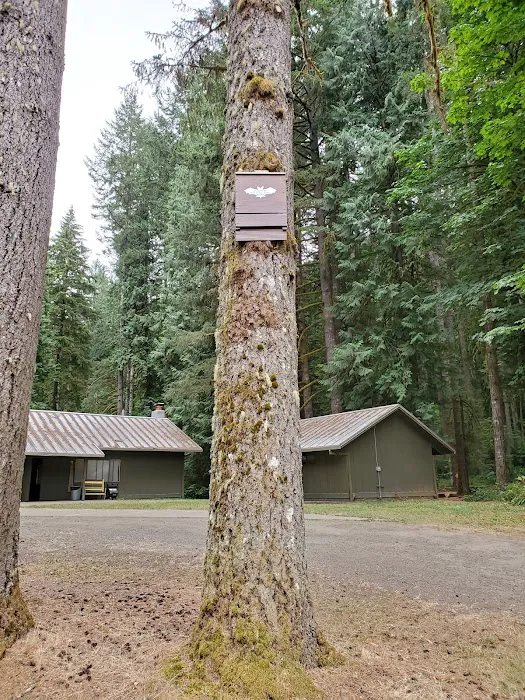 Mountaindale Lodge Picture 3