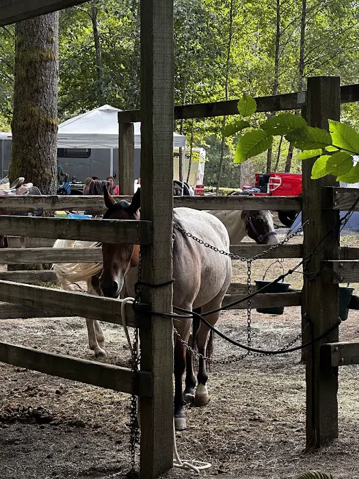 Hares Canyon Horse Camp Picture 7