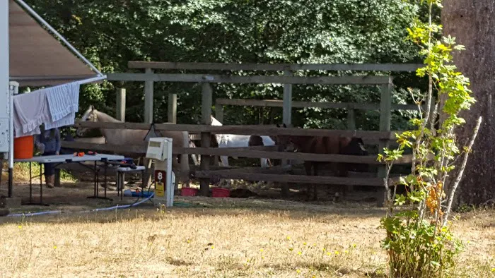 Hares Canyon Horse Camp Picture 3