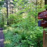Hares Canyon Horse Camp