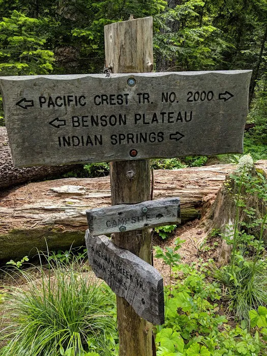 Wahtum Lake Campground Picture 10