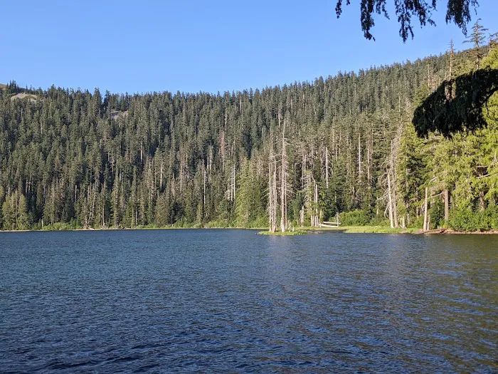 Wahtum Lake Campground Picture 5
