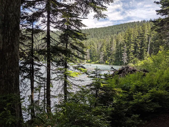 Wahtum Lake Campground Picture 2