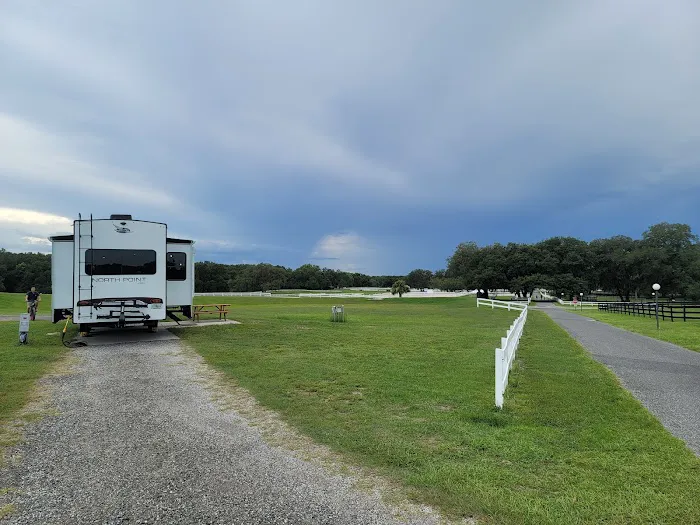 Grand Oaks RV Resort Picture 8