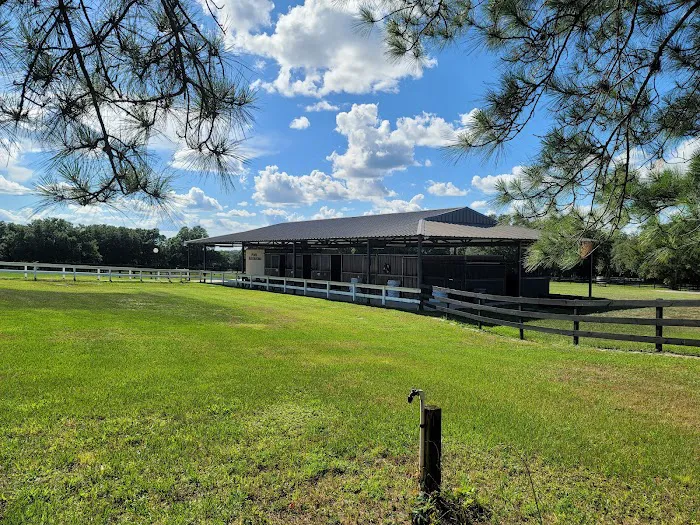 Grand Oaks RV Resort Picture 9