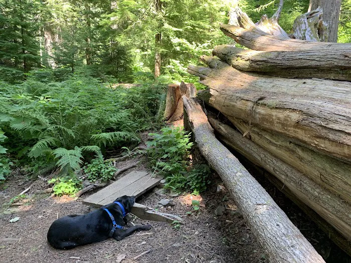 Lost Lake Campground F Loop First Come First Serve Sites Picture 7