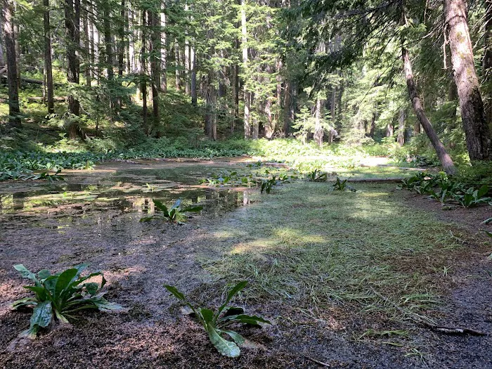 Lost Lake Organisation Camp Picture 5