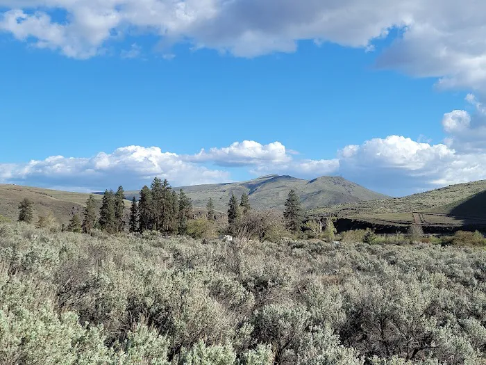 Big Pines Recreation Site Picture 6