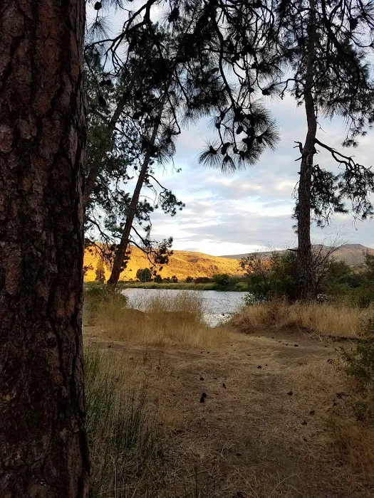Big Pines Recreation Site Picture 9