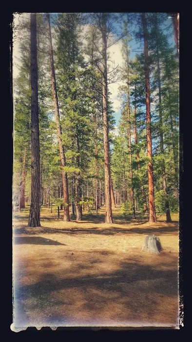 Chewuch Campground Picture 6