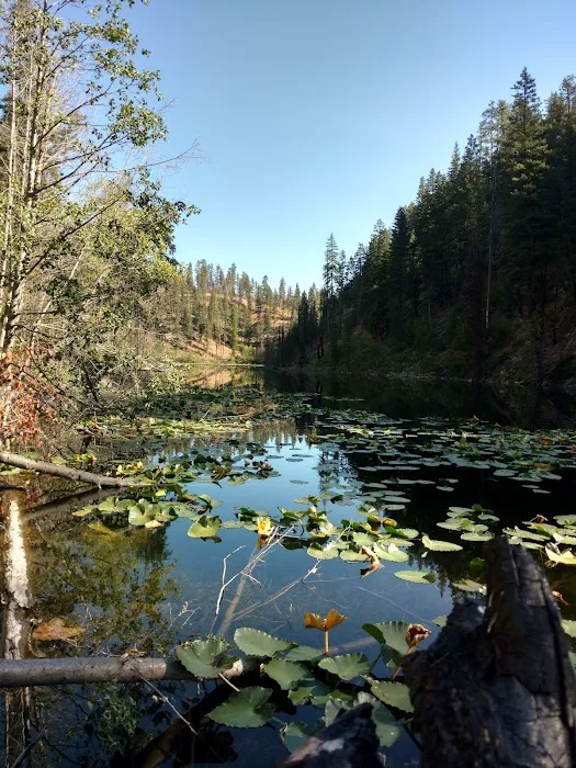 Rock Lakes Campground Picture 7