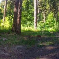 Rock Creek Campground ico