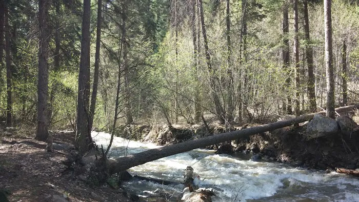 Cottonwood Campground Picture 2