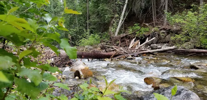 Cottonwood Campground Picture 1