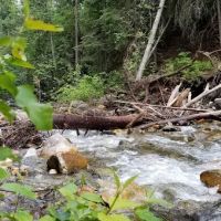 Cottonwood Campground ico