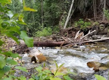 Cottonwood Campground