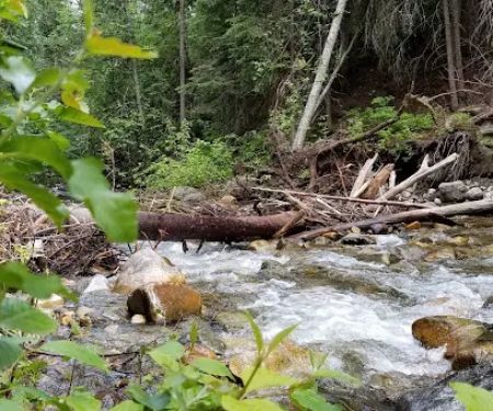Cottonwood Campground