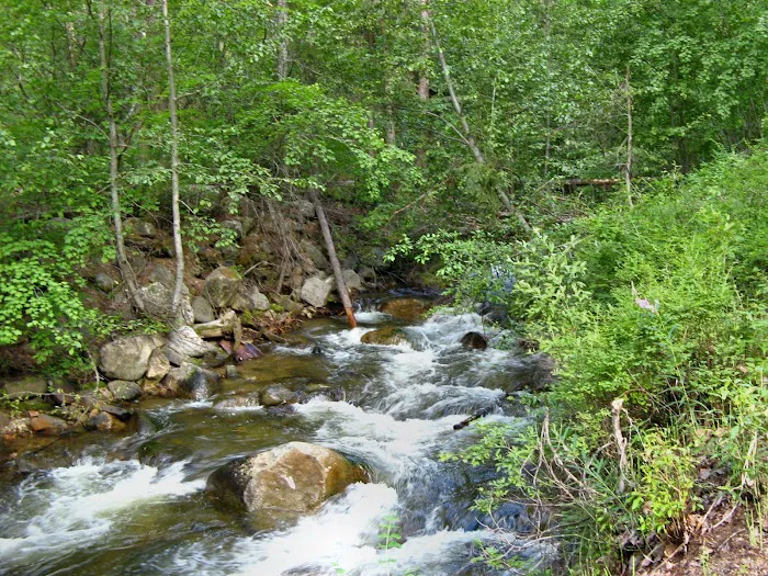 Cottonwood Campground Picture 4
