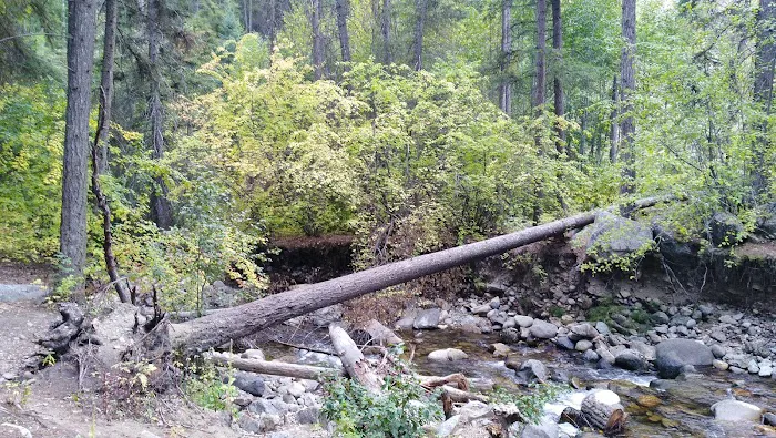 Cottonwood Campground Picture 8
