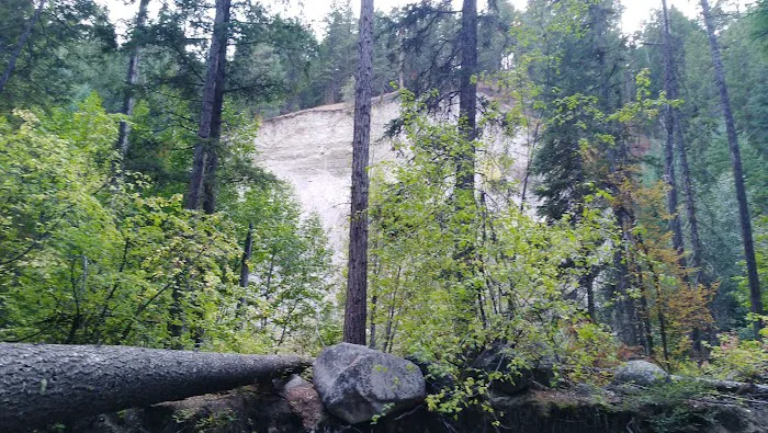Cottonwood Campground Picture 9
